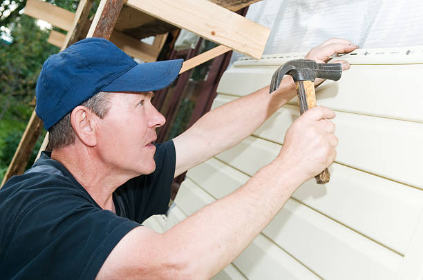 Best Siding for Commercial Buildings  in Valley City, ND
