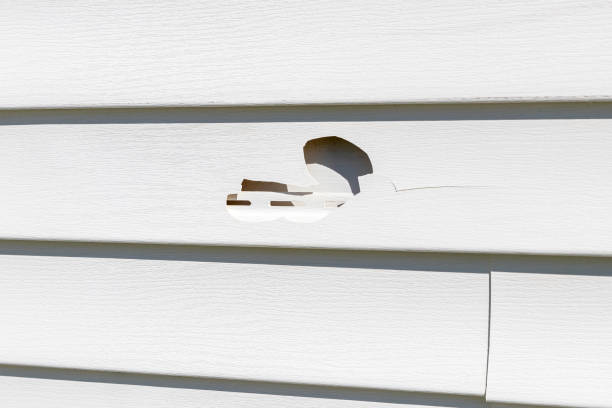 Best Steel Siding Installation  in Valley City, ND